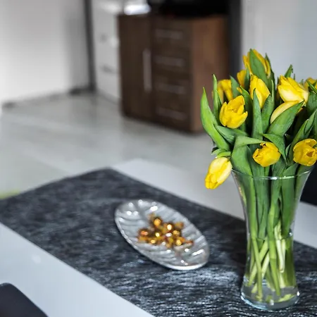 Apartament Szczesliwy Ustrzyki Dolne Esterno foto